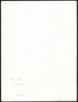 Hevesy Iván: Vasajtó, jelzetlen fotó, hátoldalon feliratozva, 24×18 cm