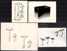 cca 1950 Gombászati tétel, közte levél, cikk, fotók