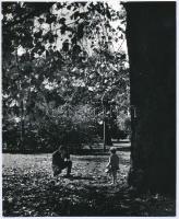 Gyermek fényképezése a Margitszigeten, hátoldalon feliratozott fotó, 22×18 cm