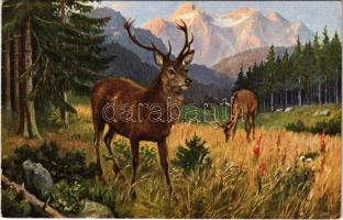 Deer, hunting art postcard