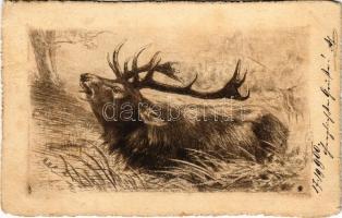 1900 Reindeer, hunting art postcard (EK)