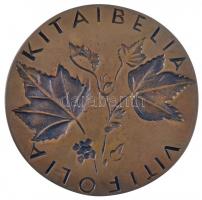 Nagy István János (1938-) 1975. "Kitaibel Pál 1757-1817 / Kitaibelia Vitifolia" Br emlékpl...