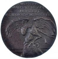 DN "Emlékezzünk a régiekről / Nem csak a nemzet, de aki nemzett, az is dicső múltjából él" szatirikus fém emlékérem (80mm) T:2,2-