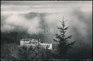 1975