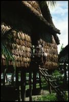 cca 1976-1981 Pápua Új-Guinea kb. 500 db negatívfilm kocka