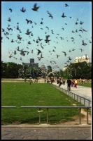 cca 1976-1981 Japán, kb. 100 db negatívfilm kocka