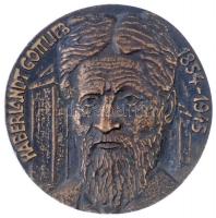 Rajki László (1939- ) 2004. "Haberlandt Gottlieb 1854-1945 / Születésének 150. évfordulójára - 2004 Mosonmagyaróvár - Haberlandt Emlékbizottság" kétoldalas, öntött Br emlékérem (85mm) T:2