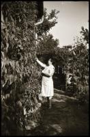 1971-1972 Balatoni nyaralás, kirándulás képei, Tihany, Balatonfüred, 60 db negatív kocka csíkban