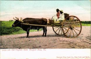Newport News (Virginia), An Old Virginia Scene, ox cart (EB)