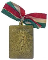 1927. "Somogyi Levente Versenyek 1927" kétoldalas, aranyozott Br díjérem szalagon (23x32mm...