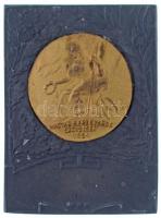 DN Magyar Kerékpáros Szövetség 1894 részben aranyozott Zn díjplakett, gravírozás nélkül (42x57mm) T:2-