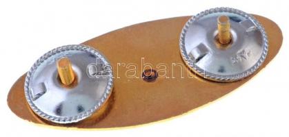 1980. "A Magyar Népköztársaság Űrhajósa" aranyozott, műgyantás jelvény (26x60mm) T:1