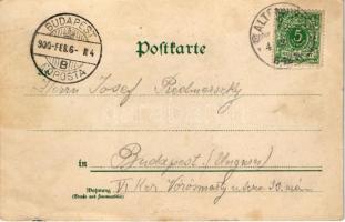 1900 Altenburg, Schloss / castle in winter. Künstler-Ansichtspostkarte Bruno Bürger & Ottillie L...