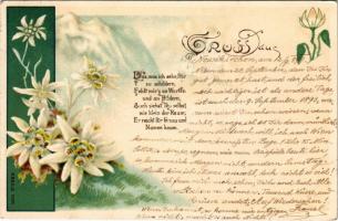 1899 Gruss aus... Art Nouveau, Edelweiss. E.B. & C.i.B. 9022. litho