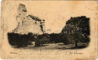 1898 Mödling, Der Liechtenstein / castle (EM)