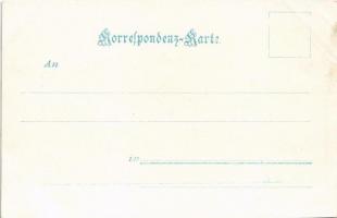 Bregenz, m. d. Pfänder / steamship, ship station