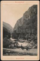 cca 1880 Herkulesfürdő, csernavölgyi vízzuhatag felé, keményhátú fotó, 16,5×11 cm