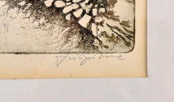 Szilágyi Imre (1942-): Merre, Ábel? Rézkarc, papír, jelzett, művészpéldány EA V./XV. jelzéssel. Háto...