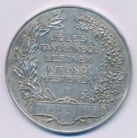 Löfkovits Arthur (1863-1935) 1914. "A Debreczeni Kereskedelmi és Iparkamara kitüntető érme / Je...