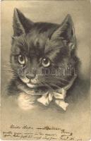 1904 Cat. Emb. litho (EK)