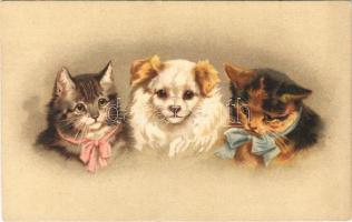 Cats with dog. G.O.M. 1845. litho