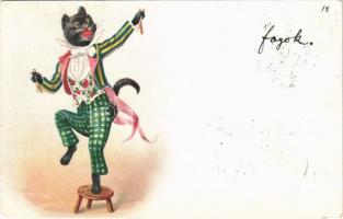 1899 Circus cat. litho (EK)