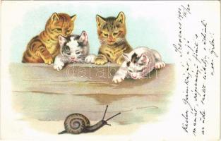 1901 Cats with snail. litho