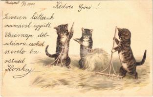 1900 Cats with rakes. Meissner & Buch Postkarten Serie 1042. Katz u. Hund in frohem Bund litho
