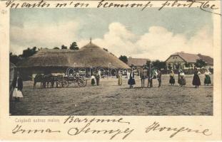 1903 Cigánd, száraz malom, folklór (EK)