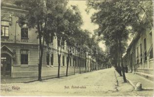 1913 Baja, Szent Antal utca, M. kir. polgári fiúiskola. Wurmfeld Gyula kiadása