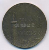 Franciaország ~1889. Sommet de la Tour Eiffel - Souvernir de lAscension (Az Eiffel-torony csúcsa - A felépítés emlékérme) jelzett Br emlékérem. Szign.: CAM(?) (40,5mm) T:2 France ~1889. Sommet de la Tour Eiffel - Souvernir de lAscension (Top of the Eiffel Tower - Souvenir of the Ascent) hallmarked Br commemorative medal. Sign.: CAM(?) (40,5mm) C:XF