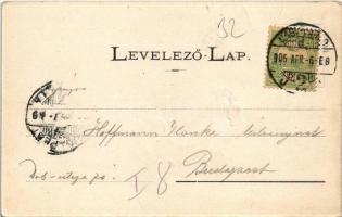 1905 Nagyvárad, Oradea; Pénzügyi palota. Özv. Erényi S. kiadása / financial palace (szakadás / tear)