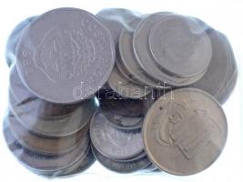 Vegyes 36db-os latin-amerikai érme tétel benne Urugay, Kolumbia, Costa Rica és Nicaragua T:vegyes Mixed 36pcs of Latin American coins with Urugay, Columbia, Costa Rica and Nicaragua C:mixed