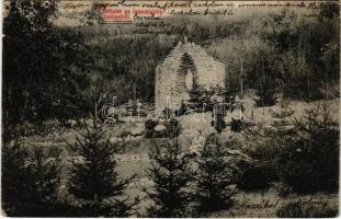 1910 Nagyvárad, Oradea; Immaculata intézet kertje / garden of the girl school (fa)