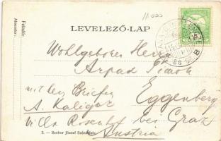 1914 Szénásfalu, Bzenica; látkép, utca. Szobor József kiadása / general view, street + "P.NÁNA ...