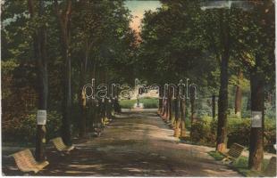 1907 Vihnye, Vihnyefürdő, Kúpele Vyhnye; sétány. Joerges kiadása / promenade (kis szakadás / small tear)