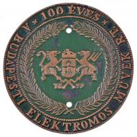 1993. 100 éves A Budapesti Elektromos Művek Rt. egyoldalas Br plakett, részben festett (104mm) T: 2 ly., kopott festés