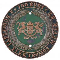 1993. "100 éves A Budapesti Elektromos Művek Rt." egyoldalas Br plakett, részben festett (104mm) T: 2 ly., kopott festés