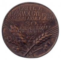 Varga Éva (1949-) 1990. Emlék a Bánvölgye MGTSZ megalakulásának 30. évfordulójára egyoldalas, öntött Br plakett (92mm) T:2
