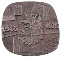 Lengyelország 4xklf Br emlékérem és -plakett tétel + India DN "Parlament épülete, Új-Delhi"...