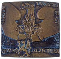 Lengyelország 4xklf Br emlékérem és -plakett tétel + India DN "Parlament épülete, Új-Delhi"...