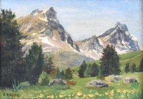 Jelzés nélkül: Alpesi táj. Olaj, farost. 19x14 cm Keretben