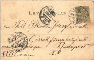 1906 Marilla, Marila; Gyógyintézet. Gross Gyula kiadása / spa, bath (EK)