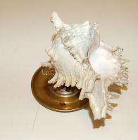 Kagylós réz hamutartó (kissé deformált)