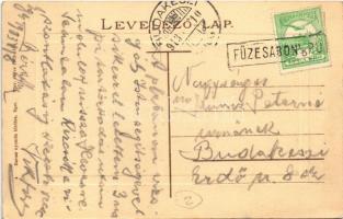 1913 Eger, Városháza, Glück József, Braun Adolf, Détsy N. és Rothschild, Lázár Jónás és Társai üzlet...