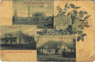 1912 Fácánkert, Simonmajor (Tolna); gőzmalom, ipari szeszgyár, számtartói és intéző lak. floral (gyűrődések / creases)
