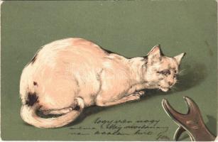 1904 Cat. Emb. Serie 3787. litho (EK)