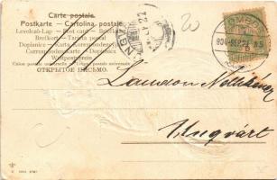 1904 Cat. Emb. Serie 3787. litho (EK)