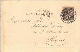 1901 Kecskemét, tér, városház, templomok, üzletek