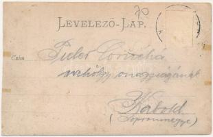 "Toldi viaskodása farkasokkal" Fadrusz János bronzszobra. A Budapesti (Budai) tornaegylet ...